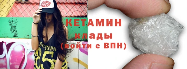 индика Ельня