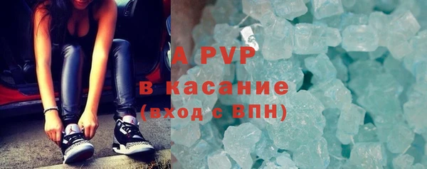 индика Ельня