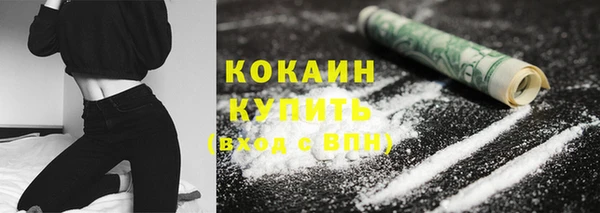 индика Ельня