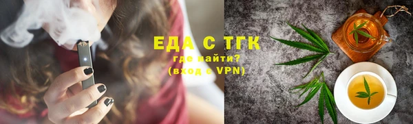 индика Ельня
