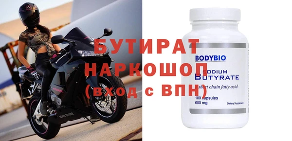 индика Ельня