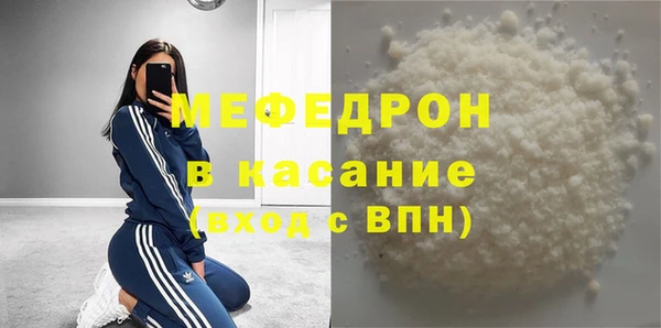 индика Ельня