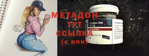 индика Ельня