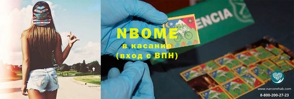 индика Ельня