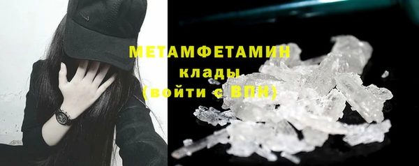 индика Ельня