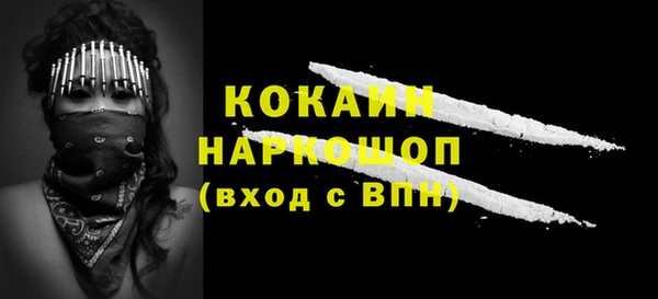 индика Ельня