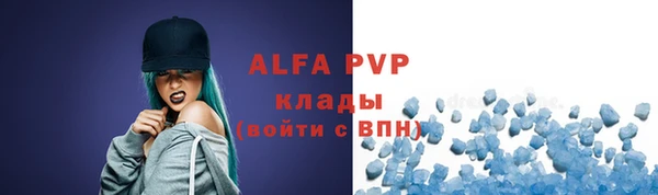 индика Ельня
