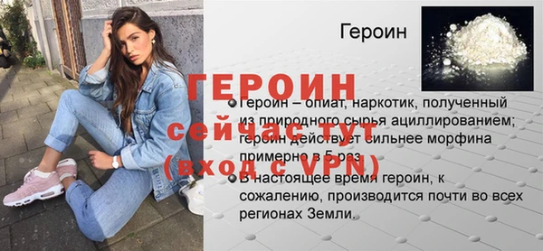 индика Ельня