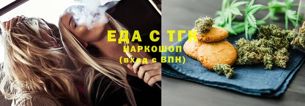 индика Ельня