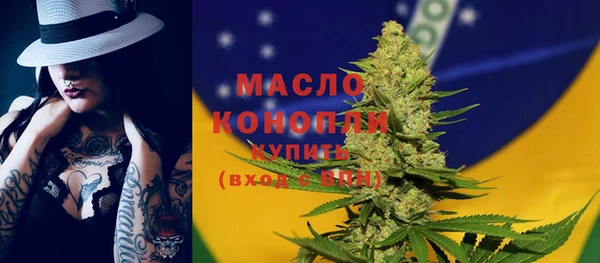 индика Ельня