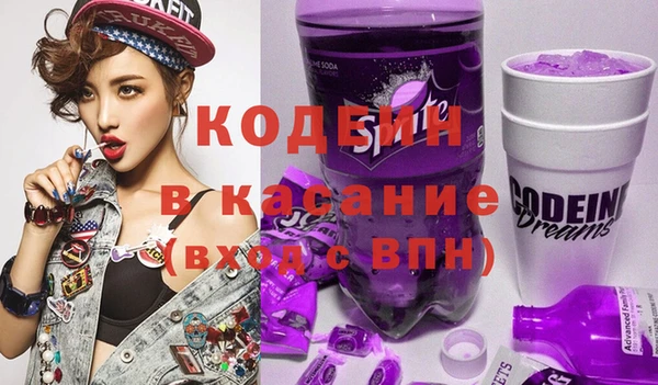 индика Ельня
