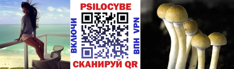 Купить где  Гудермес  Псилоцибиновые грибы GOLDEN TEACHER 
